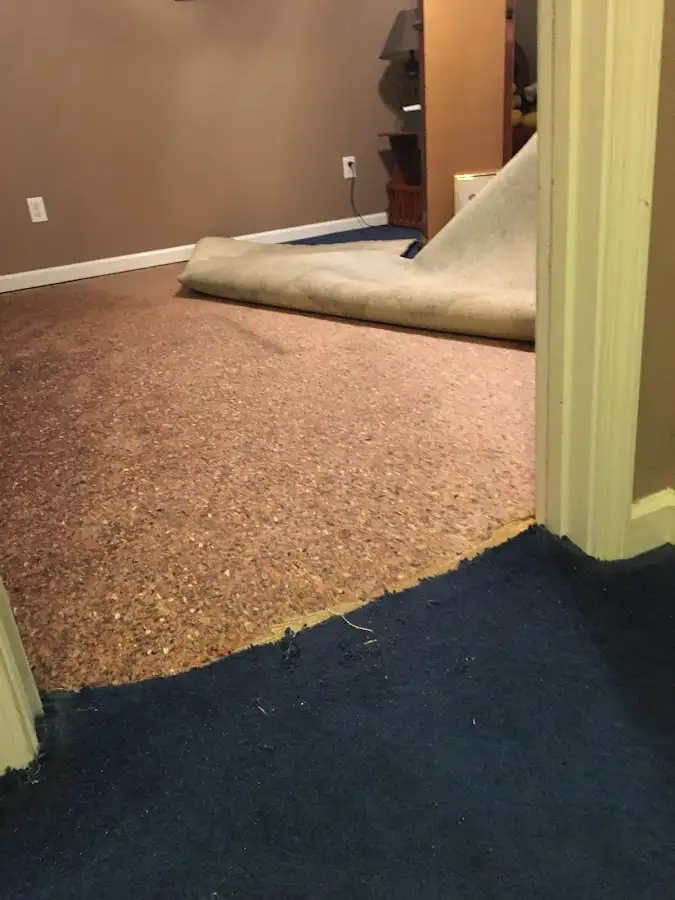 Carpet pad removal revealing water damage during Water Mitigation Services in Brunswick